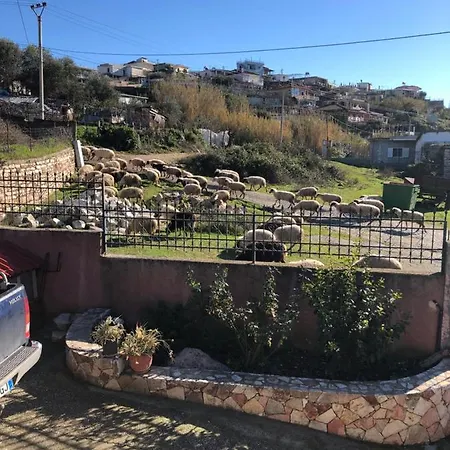 Pantazi Xarre
